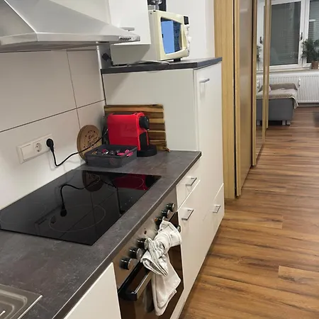 Domus Lux 53 Apartman Bad Säckingen